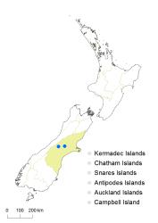 Cardamine alticola distribution map based on databased records at AK, CHR, OTA & WELT.
 Image: K.Boardman © Landcare Research 2018 CC BY 4.0
